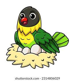 Cute yellow collared love bird cartoon with eggs in the nest