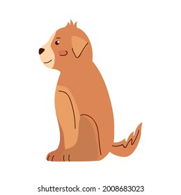mascota de mascota de perro amarillo lindo