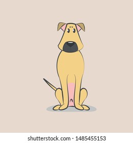 Cute yellow dog sitting down