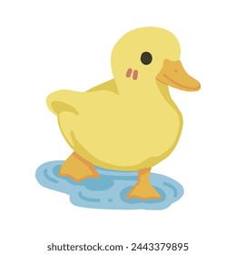 
cute yellow duck after swimming