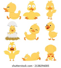 Cute yellow duck cartoon collection