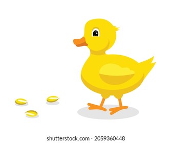 cute yellow duck, corn kernel, isolated on white background, vector illustration