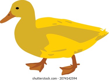 Cute yellow duck. Vector illustration on white background.
