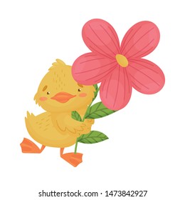 Cute yellow duckling with a flower. Vector illustration on a white background.