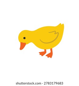 Cute yellow duckling looking down flat vector illustration. Little baby duck character bending over isolated on white background