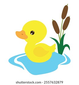 Cute yellow duckling in pond  vector cartoon illustration