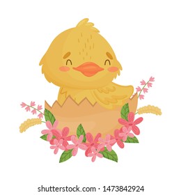 Cute yellow duckling sitting in the shell. Vector illustration on a white background.