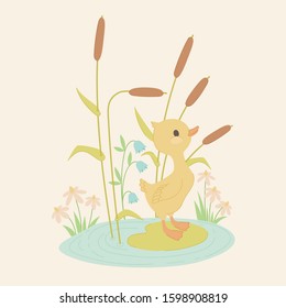 Cute yellow duckling surrounded by flowers, reed and water. Vector illustration