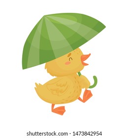 Cute yellow duckling under the umbrella. Vector illustration on white background.