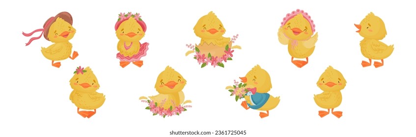 Cute Yellow Duckling with Wing and Feathers Vector Set