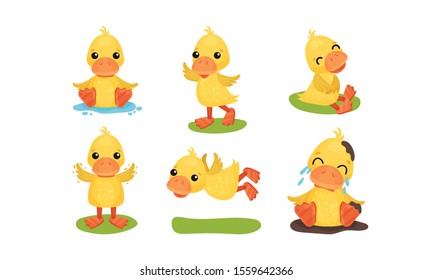 Cute Yellow Ducks In Different Poses Vector Illustration Set Cartoon Character