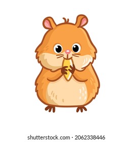 Cute yellow hamster stands and chews a nut on a white background. Cute pet in cartoon style.