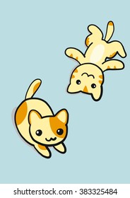 cute yellow kittens playing