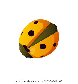 Cute yellow ladybug insect isolated on white. Summer spring vector design element.