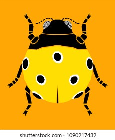 Cute yellow  ladybug. Top view of ladybird bug. Vector illustration.