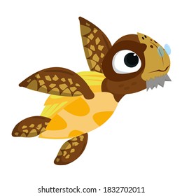 Tortuga Cuidada De Mar Amarillo En La Espalda Blanca Aislada