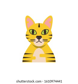 Cute yellow and striped cat cartoon design, Animal pet kitten domestic feline kitty mammal beautiful and portrait theme Vector illustration