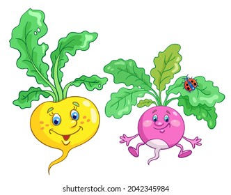 Cute yellow turnip and funny radish with the a small ladybug on a leaf. In cartoon style. Isolated on white background. Vector illustration