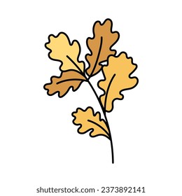 Cute yellow twig with oak leaves. Hand drawn detailed vector illustration.