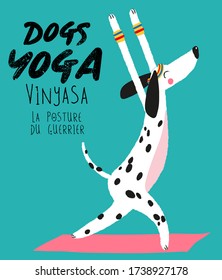 cute yoga dogs , vector dogs graphic - card and shirt design