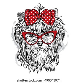 Cute Yorkshire terrier with bow and glasses. Vector illustration for a card or poster. Print on clothes. Beautiful dog.