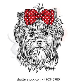 Cute Yorkshire terrier with bow. Vector illustration for a card or poster. Print on clothes. Beautiful dog.