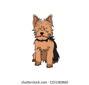 Cute Yorkshire Terrier Cartoon Dog Vector: เวกเตอร์สต็อก (ปลอดค่า
