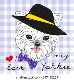 Cute Yorkshire Terrier with hat on a plaid background