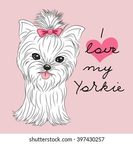 Cute Yorkshire Terrier on a pink background