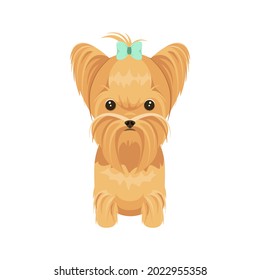 Cute Yorkshire terrier on a white background. Cartoon dog design.