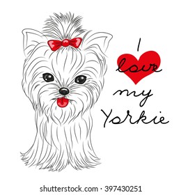Cute Yorkshire Terrier on a white background