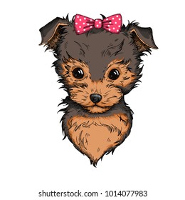 Cute Yorkshire Terrier with pink bow. Hand drawn fashion Print for t-shirts and bags, poster or greeting card