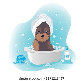 A cute Yorkshire terrier with a towel on his head is taking a bath.