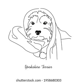 Cute Yorkshire Terrier wrapped upside down in a towel. Funny little dog. Freehand drawing in lines