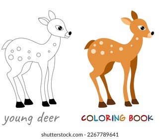 Pequeño ciervo. Animales forestales. Libro de Colores para niños.  Ilustración vectorial.