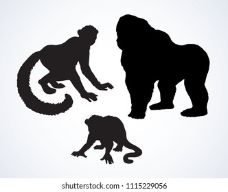 Cute young little humanoid catarrhini haplorhine Hominoidea kid pet on white backdrop. Dark ink hand drawn logotype pictogram in retro art contour print style