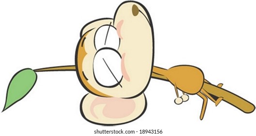 Cute and young Monkey Character on white background : vector illustration