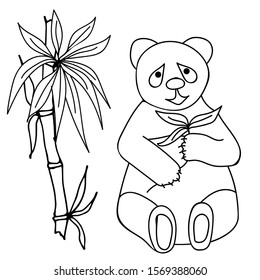 Cute young panda holds in its paws a branch of eucalyptus with leaves. White background. Drawn by hand. Suitable for design for poster, t-shirt, postcard, coloring, fabric, print. Vector illustration