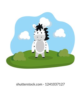 cute zebra in the camp