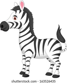 Cute zebra cartoon 