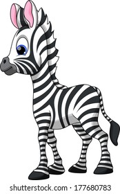 Cute zebra cartoon