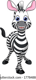 Cute zebra cartoon