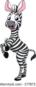 Cute zebra cartoon