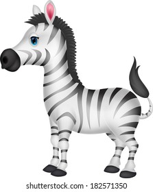 Cute zebra cartoon