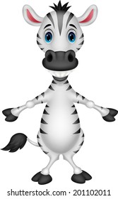 Cute zebra cartoon