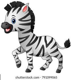 Cute zebra cartoon