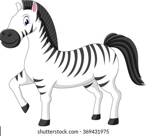 Cute zebra cartoon of illustration 