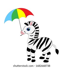 cute zebra cartoon illustration vector