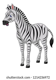 Cute zebra cartoon isolated on white background