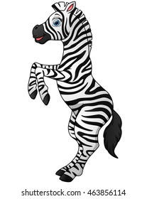 Cute zebra cartoon standing